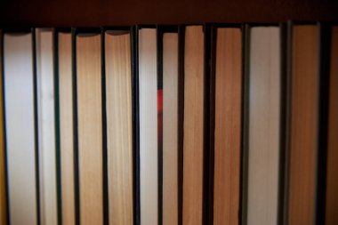 Kitap omurgaları rafta dizilmiş, yakın plan, öğrenme ve eğitim konsepti.