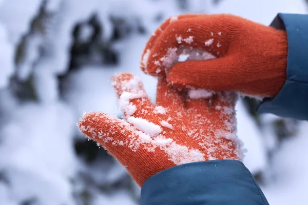 Mãos Femininas Luvas Laranja Com Neve Presa Inverno — Fotografia de Stock