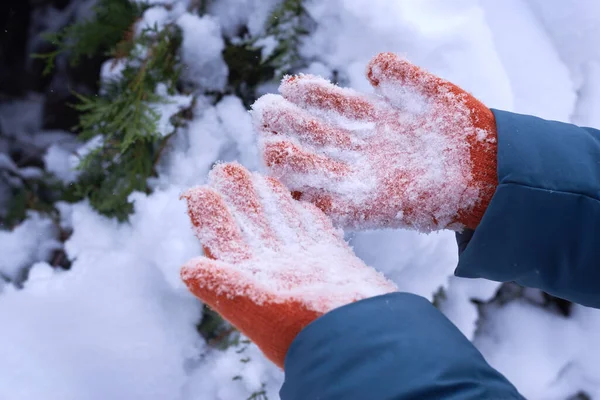 Female hands in orange gloves with stuck snow, wintertime.