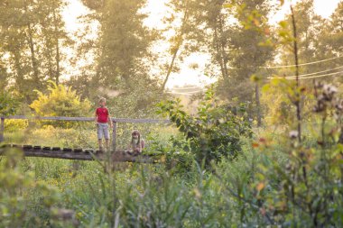 UKRAINE, Voronizh - 2 Eylül 2018: Ilık güneşli bir günde, nehrin üzerindeki ahşap bir köprüde oynayan iki çocuk.
