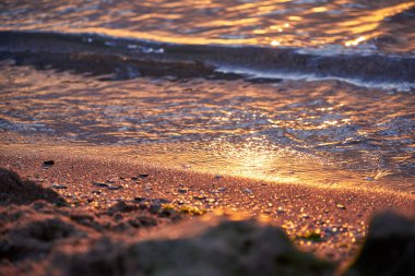 Şafakta deniz kenarında, ıslak kum, taşlar, güneş ışığı ve dalgalar.