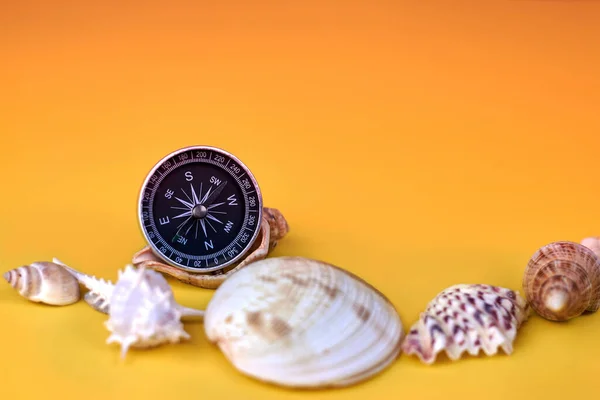 Iránytű Kagylók Élénk Sárga Háttérrel Tengeri Összetétel — Stock Fotó