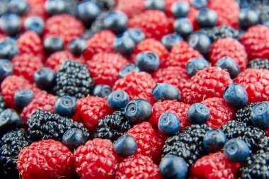 Taze ahududu, yabanmersini ve dut karışımı..