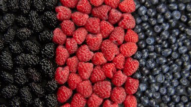 Taze ahududu, yabanmersini ve dut karışımı..