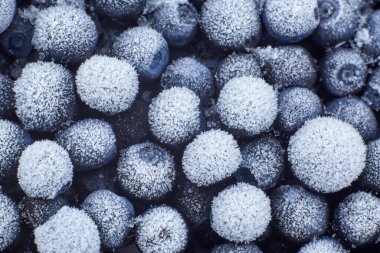 Karda donmuş yaban mersini, böğürtlen arkaplanı, yakın plan..