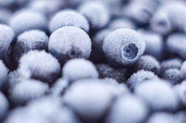 Karda donmuş yaban mersini, böğürtlen arkaplanı, makro.