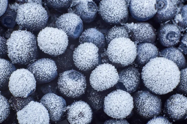 Karda donmuş yaban mersini, böğürtlen arkaplanı, yakın plan..