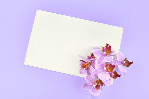 Blank paper with orchids on a blue background, copy space.