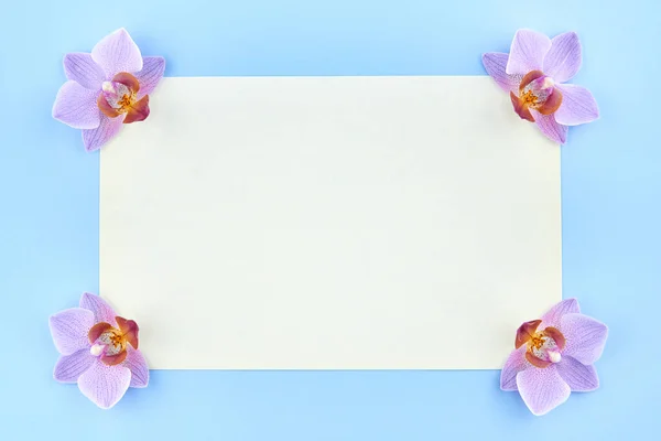 Papel Blanco Con Orquídeas Sobre Fondo Azul Espacio Para Copiar —  Fotos de Stock