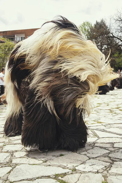 Eleshniza Bulgarien Maj 2021 Kukeri Festival International Maskerad Festival Kukerland — Stockfoto