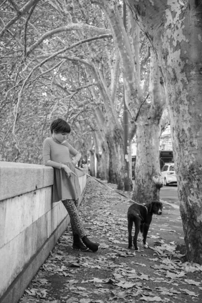 Foto Monocromatica Adolescente Che Cammina Con Cane Parigi Durante Stagione — Foto Stock