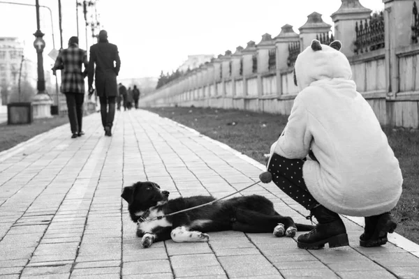 Foto Monocromatica Adolescente Che Cammina Con Cane Parigi Durante Stagione — Foto Stock