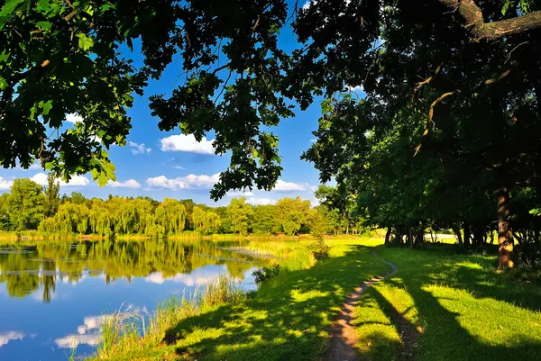 I skuggan av ekar på sjön — Stockfoto