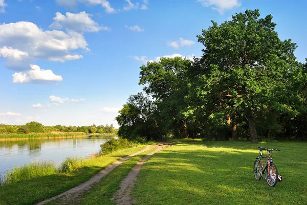 Forest bike path on the meadow on the banks of the river — Stock Photo, Image