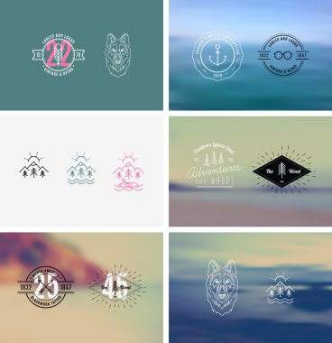Trendy Retro Vintage Insignias