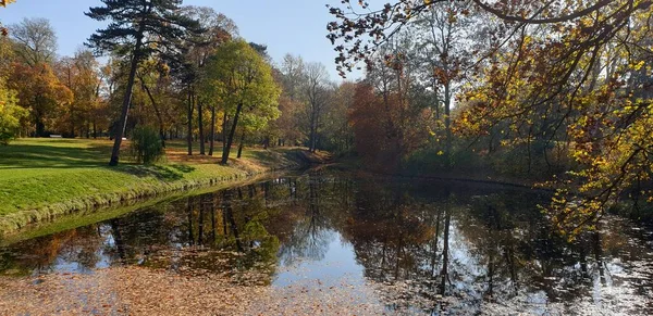 Autumn in park. Golden autumn. Lake with golden leafs. Sunny morning