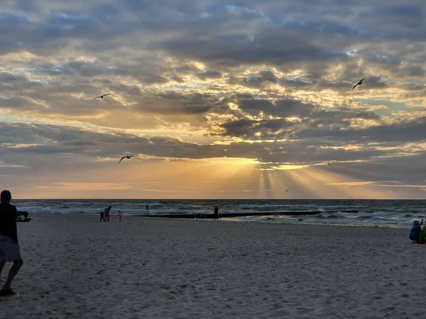 Coucher Soleil Sur Plage Soir — Photo