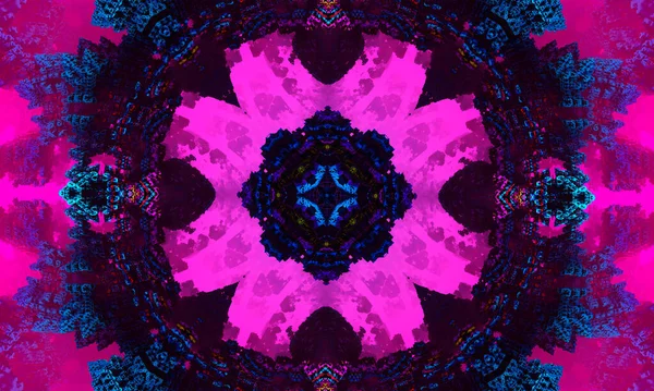 Kaleidoskopisch Verändertes Bild Von Gartenblumen Stiefmütterchen Dianthus Ähnelt Einem Mandala — Stockfoto