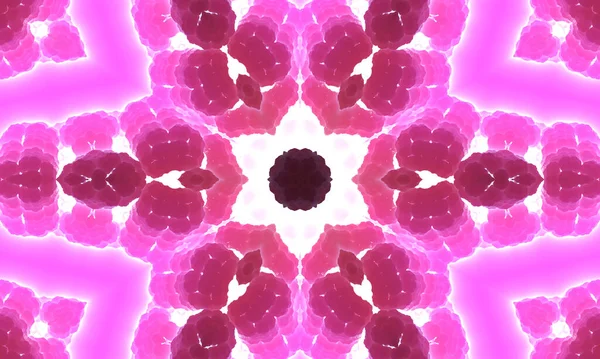 Abstrakt Bunte Blumen Flora Konzept Symmetrische Muster Ornamentale Dekorative Kaleidoskop — Stockfoto