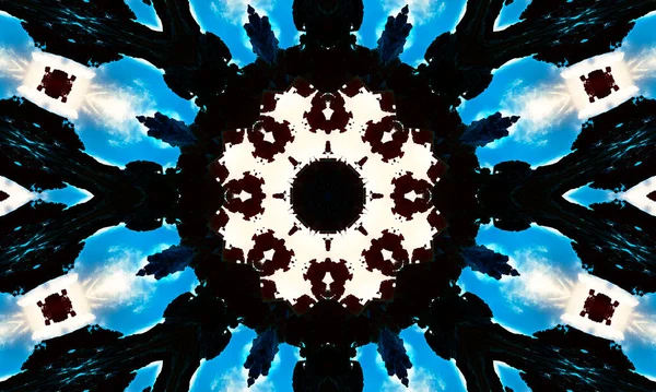Rorschachův Kaleidoskop Psycho Diagnostický Test Inkoustovou Skvrnu Rorschach Projektivní Rorschachova — Stock fotografie