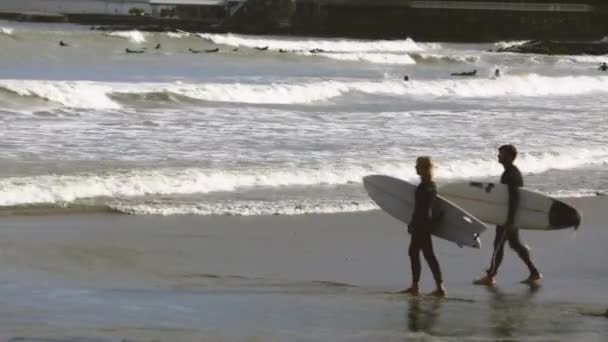 Surfistas junto al mar en Liguria — Vídeo de stock