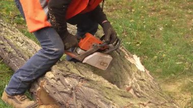 Güvenlik teçhizatlı bir adam dışarıdaki ağaç gövdesini kesmek için elektrikli testere kullanıyor. Ağaç kesiminin ve ağaç kesiminin 4K yavaş çekimde yakın görüntüsü.