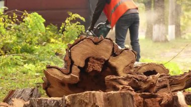 Güvenlik üniformalı kamu görevlileri, devrilmiş bir ağacı parçalara ayırdıktan sonra temizleyip kaldırıyorlar. Yerdeki kütükler ve odun kalıntıları, takım çalışması, kentsel bakım, 4K görüntü.
