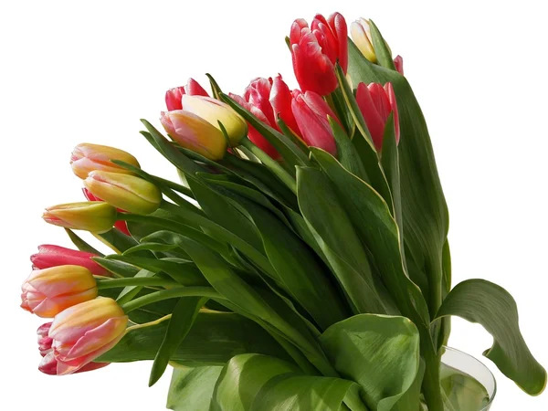 Posy of pretty tulips — Stock Photo, Image