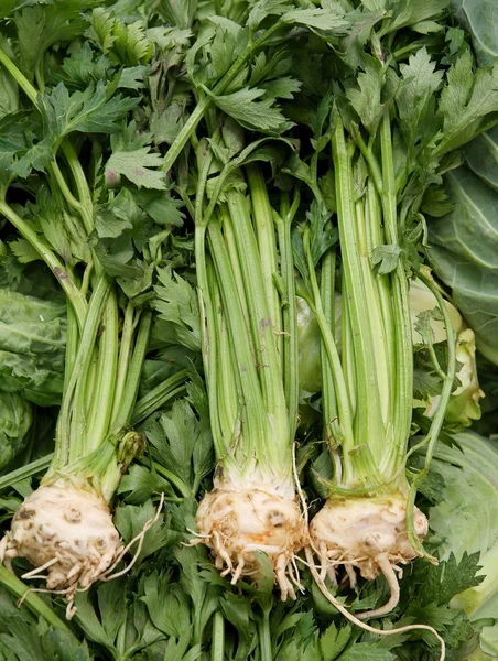 Root celeries as tasty vegetable — Stock Photo, Image