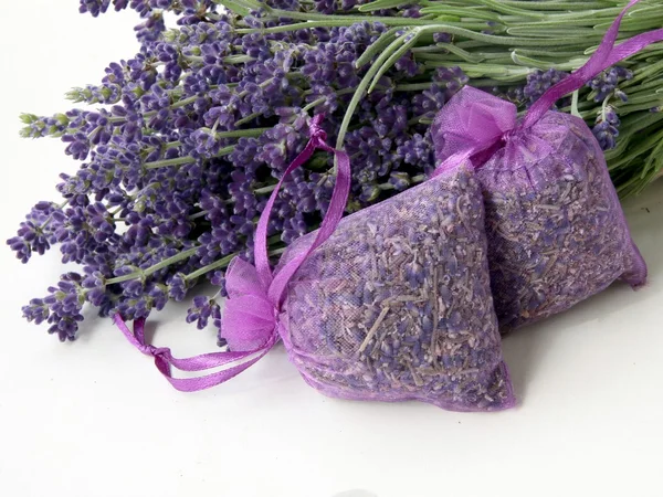 Erba lavanda con fiori di lilla da vicino — Foto Stock