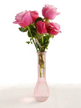 Bir demet pembe güzel gül yalıtılmış olarak kapanıyor.