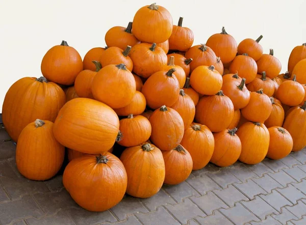 Diverses Citrouilles Multicolores Comme Nourriture Végétarienne Saine — Photo