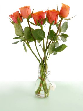 Bir demet taze gül, izole edilmiş.