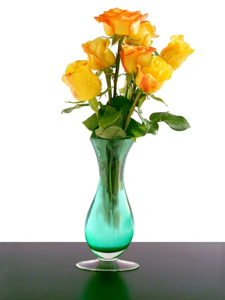Pretty Orange Yellow Roses Isolated Close — Stock Photo, Image