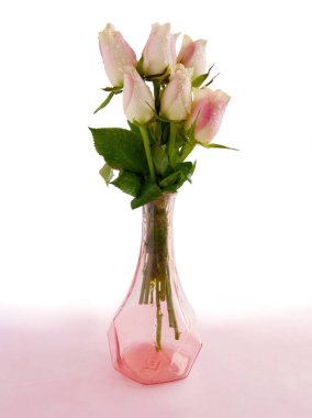 Yazın bahçeden güzel pembe güller