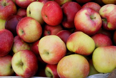 Lezzetli, kırmızı, ham elmalar. Yaklaş.