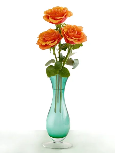 Orangefarbene Rosen Aus Nächster Nähe — Stockfoto