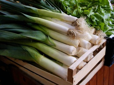 leeks vegetables for cooking and salads close up