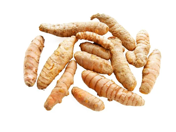 Raw Roots Curcuma Longa Tropical Plant Spice — Stock Photo, Image