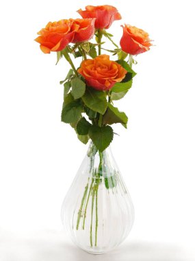 Bir demet güzel turuncu gül yakın