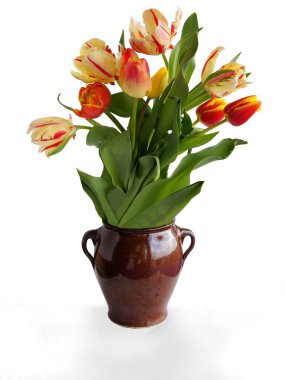 Bahar çiçekleri kapanırken çok renkli laleler