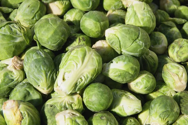 Brotos Bruxelas Verdes Como Comida Vegetariana Saborosa — Fotografia de Stock