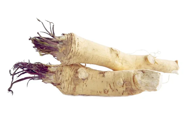 Roots Horseradish Spicy Tasty Vegetable — Stock Photo, Image