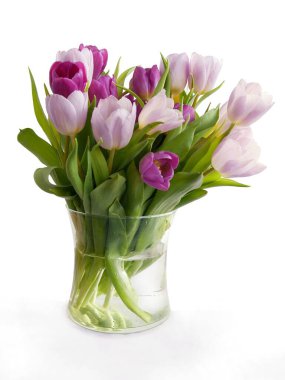 Çok renkli lalelerin posteri kapanıyor.