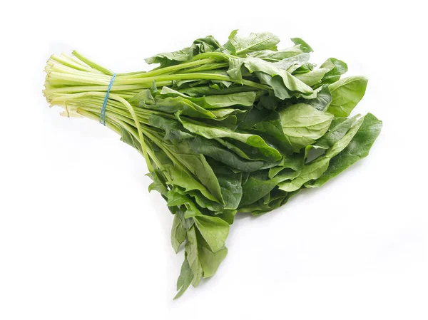 緑の新鮮なほうれん草の葉を野菜として調理する — ストック写真