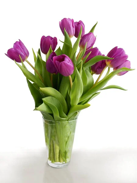 Posy Pretty Multicolor Tulips Close — Stock Photo, Image