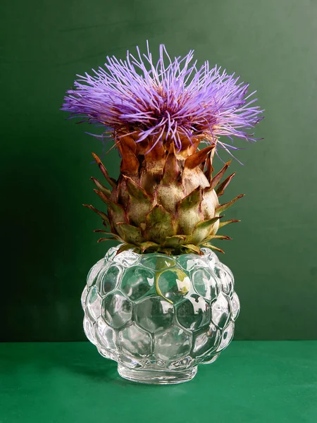 Purple Flowers Artichoke Plant Close — Stock Photo, Image