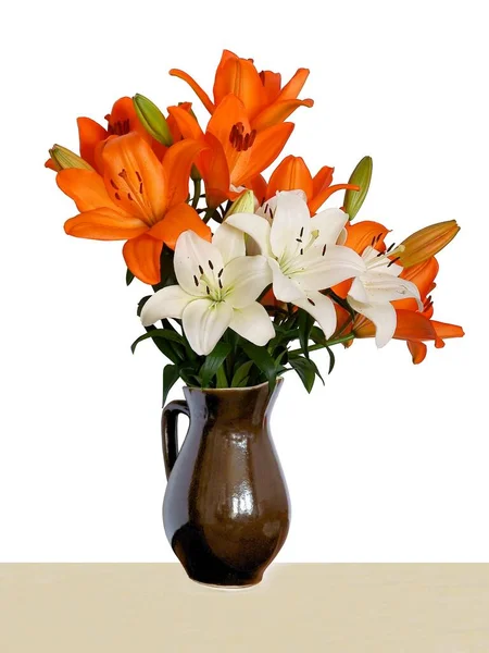 白色和橙色的百合花紧密地隔离在一起 — 图库照片