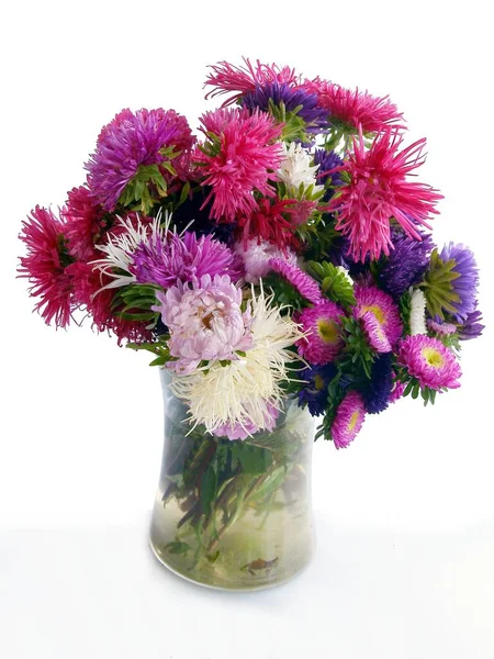 Posy Multicolor Asters Autumn Close — Stock Photo, Image