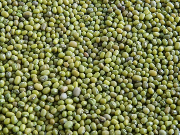 Semillas verdes de frijol mungo —  Fotos de Stock